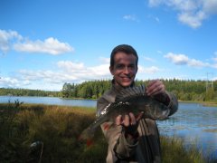 Sommerabbor fra Heiavannet ved Fetsund