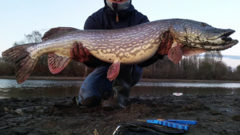 Vansjø 04-08.10.16 - høstferie med drop in - Østlandet - Fiskersiden