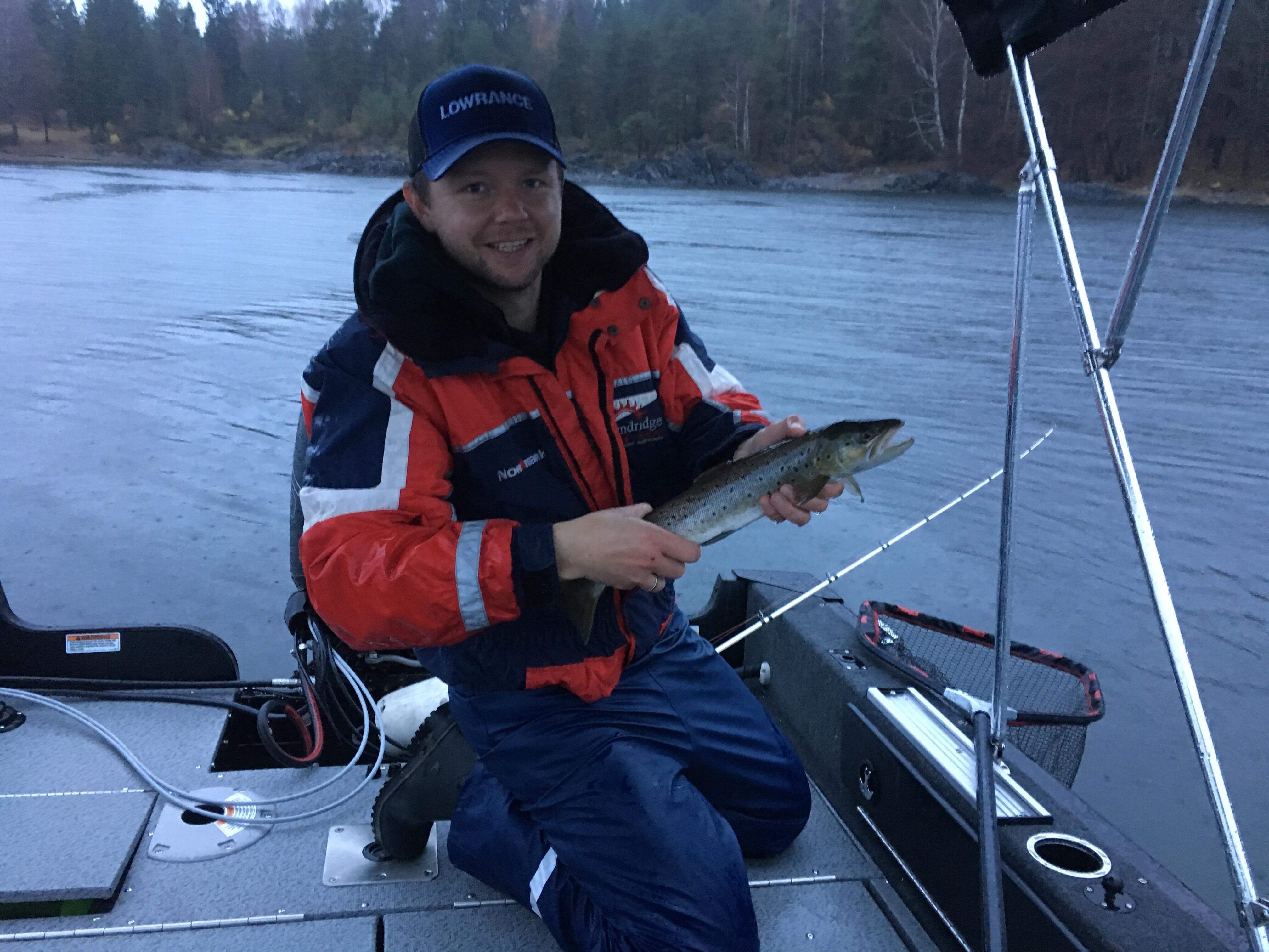 sjøørret oslofjorden sjøørret oslofjorden