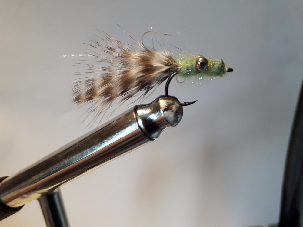 20190820_173757.jpg