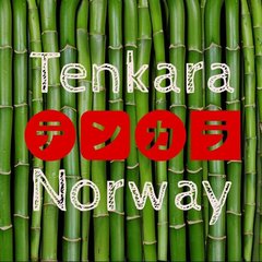 Tenkaranorway.com