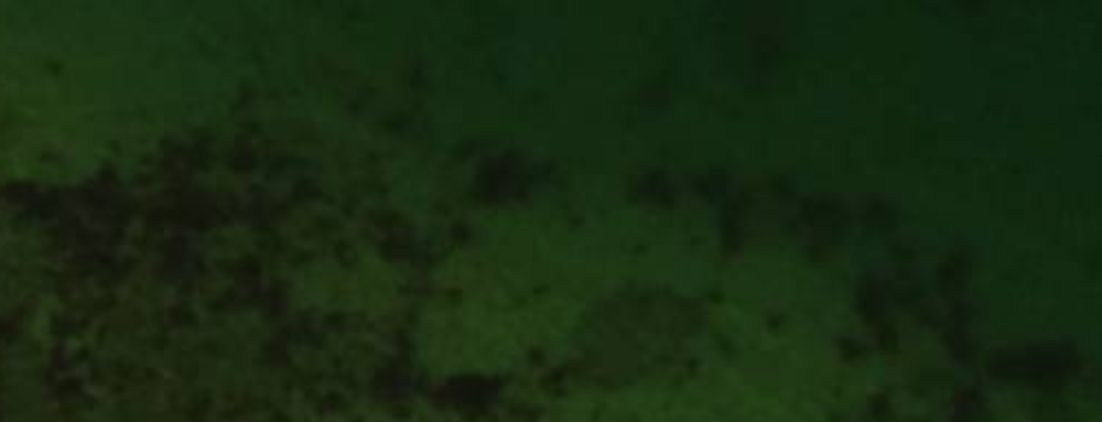 image.thumb.png.75023a07c932ea02dd614f197c09589e.png