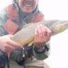 arcticflyfish.com